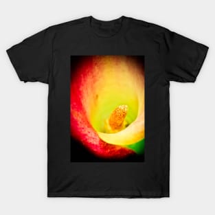 Colorful Calla, macro T-Shirt